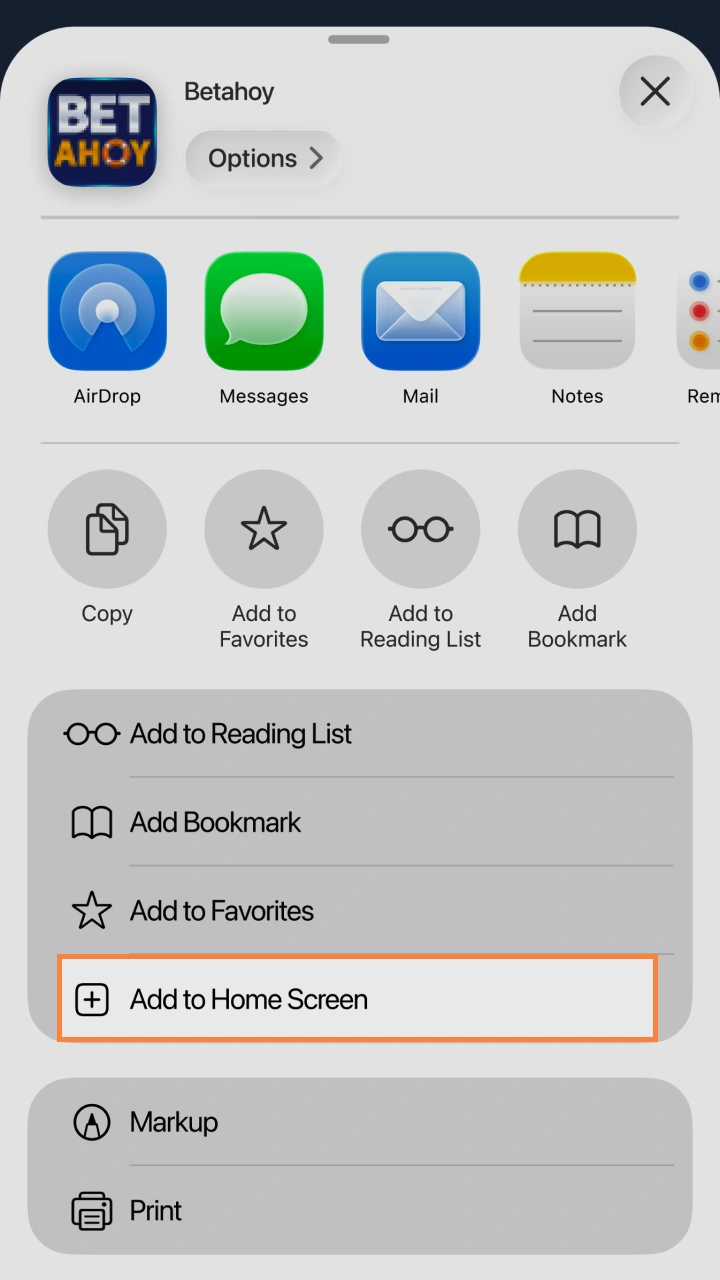 Choose add to home screen to access your favorite Betahoy games in one click.